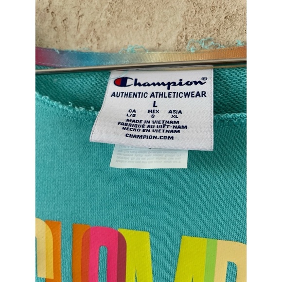 Champion Colorful Logo Sweatshirt Size Large NWT - Picture 3 of 4